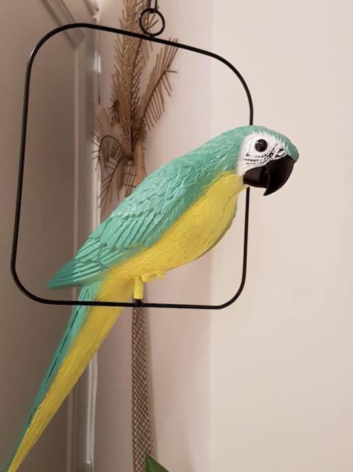Reve De Coco, Le Port A Pied Apartment ซานารี-ซูร์-แมร์ ภายนอก รูปภาพ